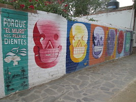 colorful murals of day of the dead skulls 